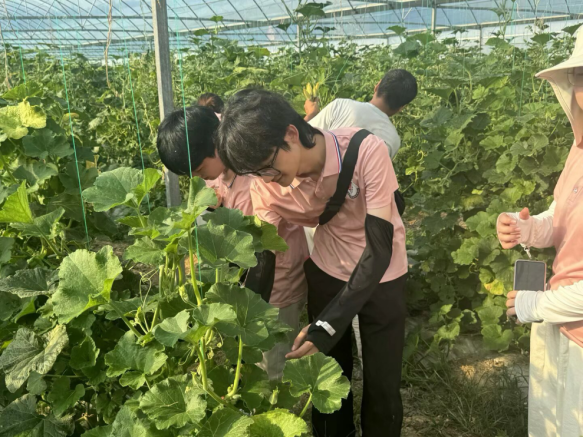 從紅色沃土到振興田野 華東交通大學學子開展暑期社會實踐_fororder_圖片7