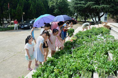 點(diǎn)擊查看原圖